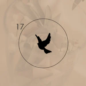 17